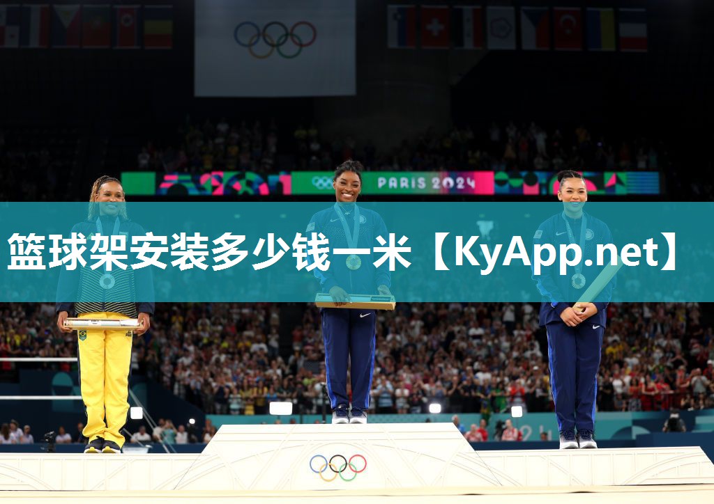 篮球架安装多少钱一米