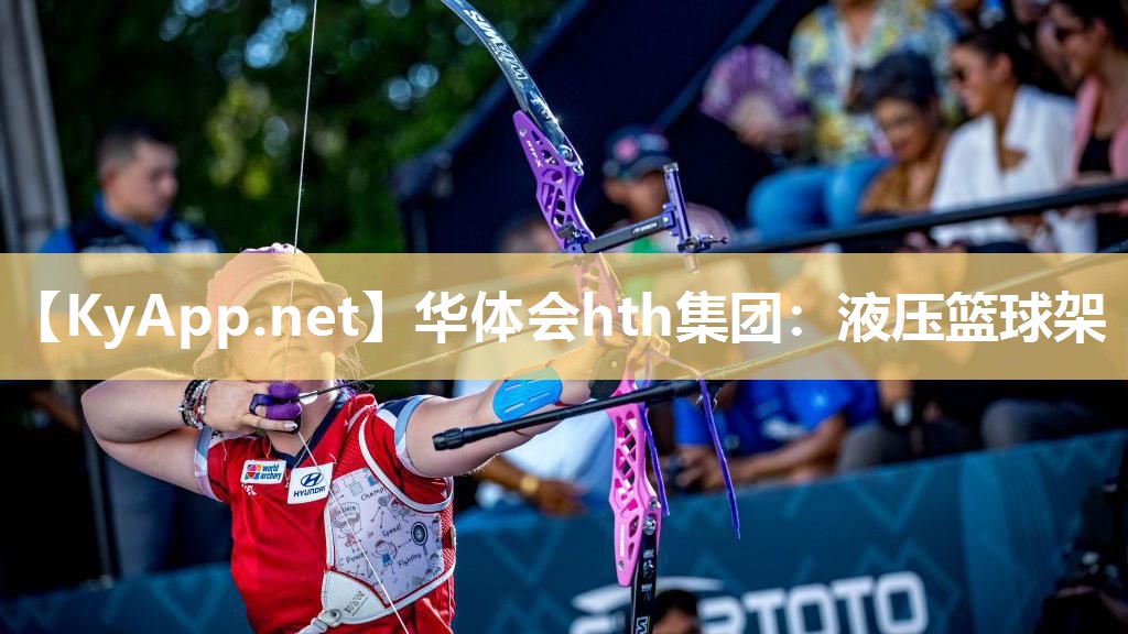 华体会hth集团：液压篮球架