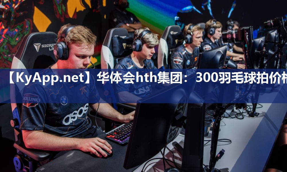 华体会hth集团：300羽毛球拍价格