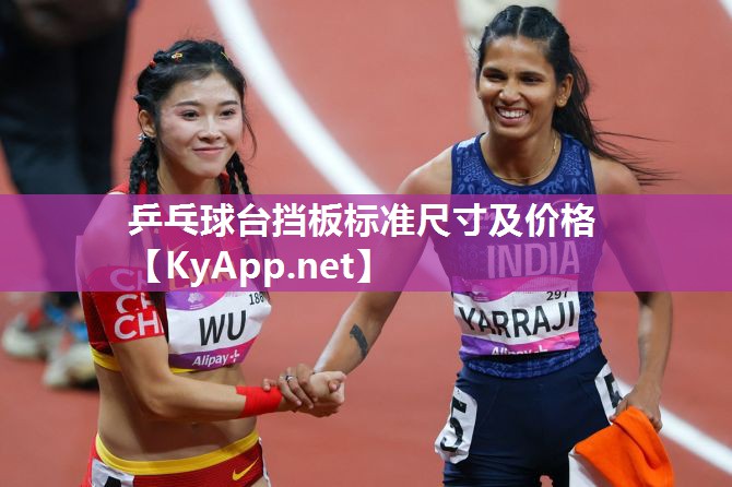 乒乓球台挡板标准尺寸及价格