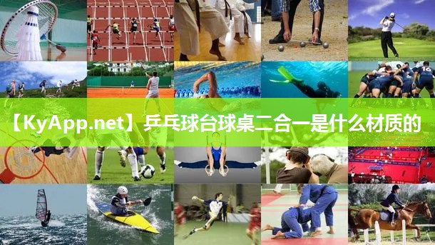 乒乓球台球桌二合一是什么材质的
