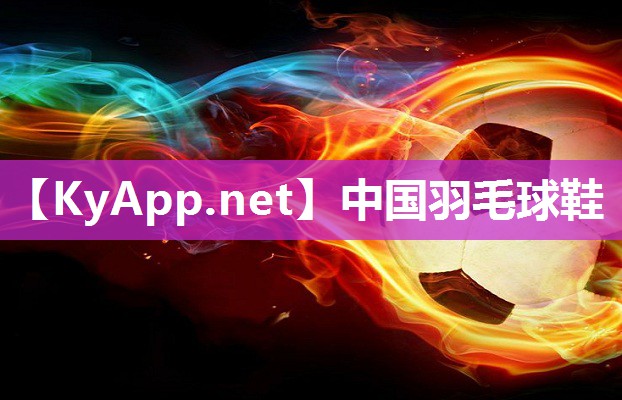 中国羽毛球鞋