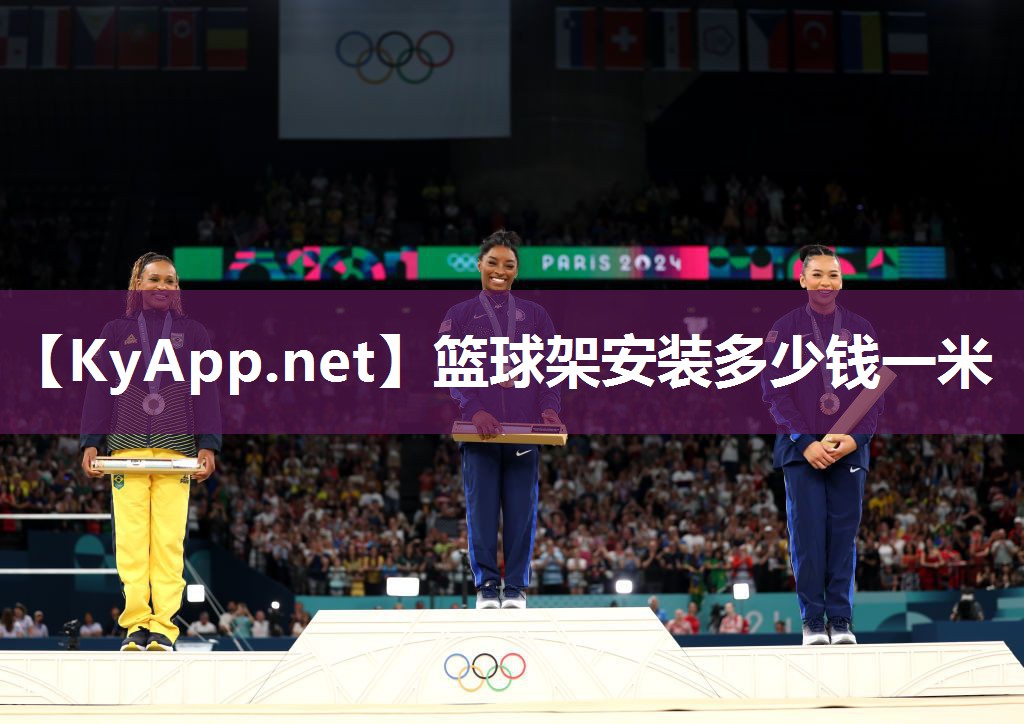 篮球架安装多少钱一米