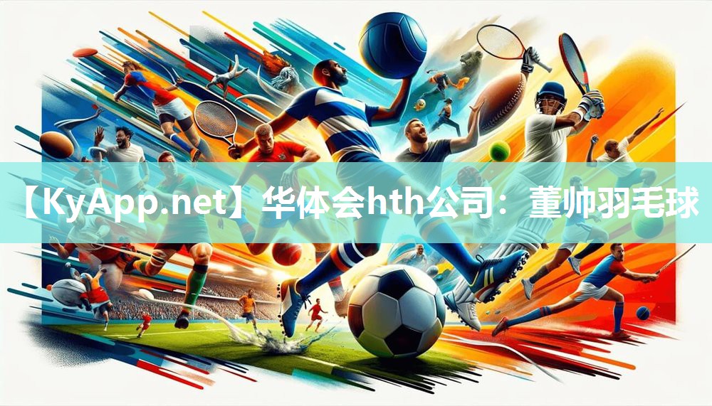 董帅羽毛球