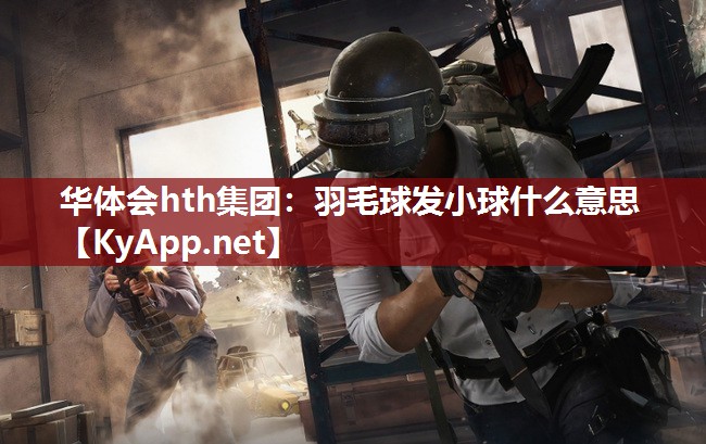 羽毛球发小球什么意思