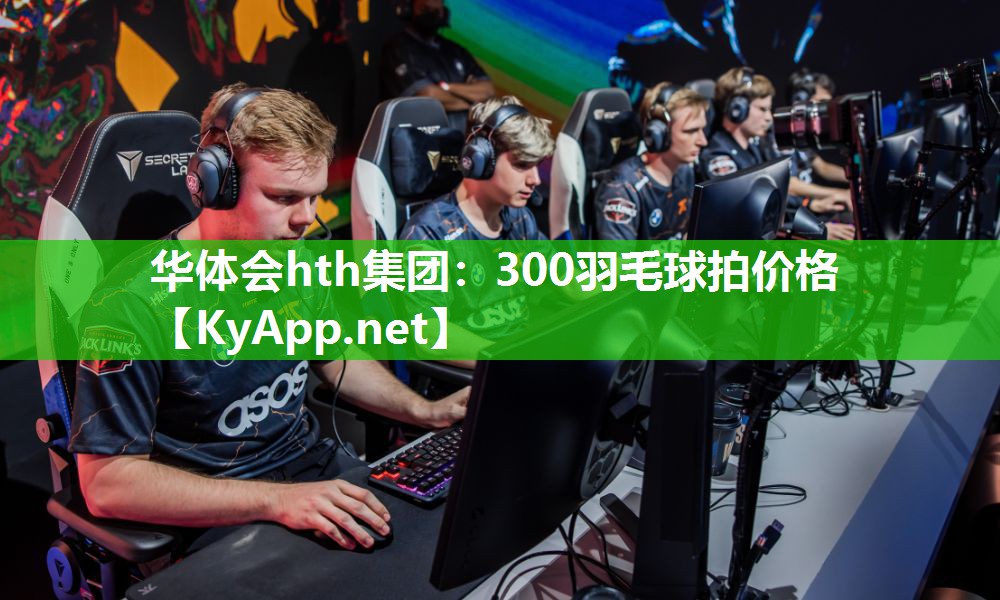 300羽毛球拍价格