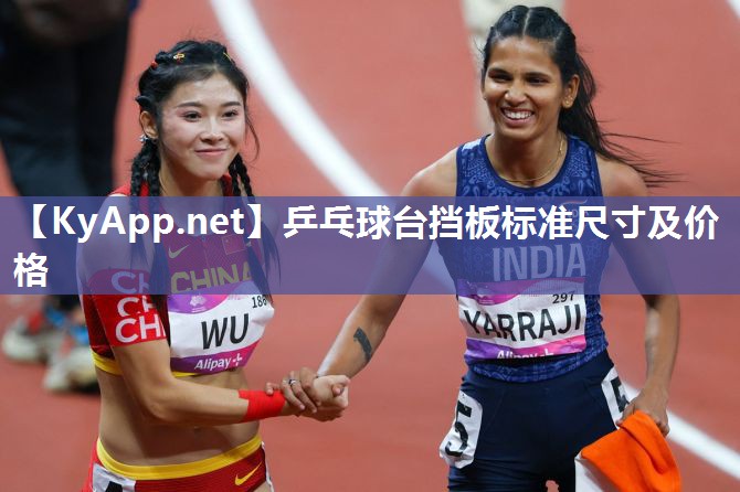 乒乓球台挡板标准尺寸及价格