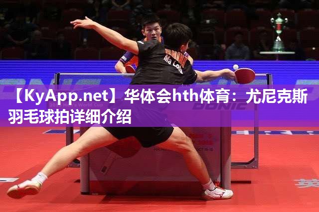 尤尼克斯羽毛球拍详细介绍